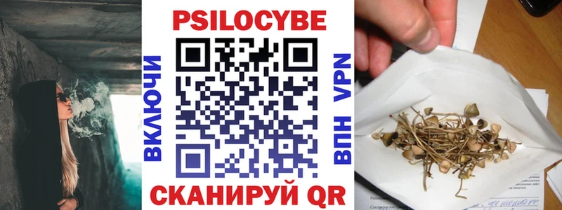 Купить закладки  Реж  Псилоцибиновые грибы прущие грибы 